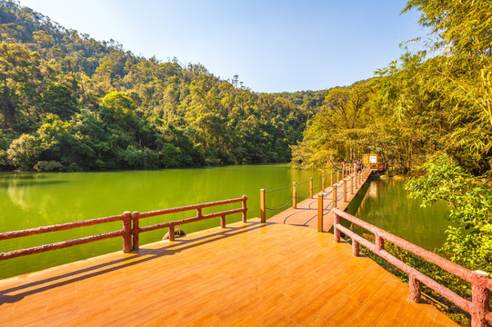 鼎湖山天湖景区