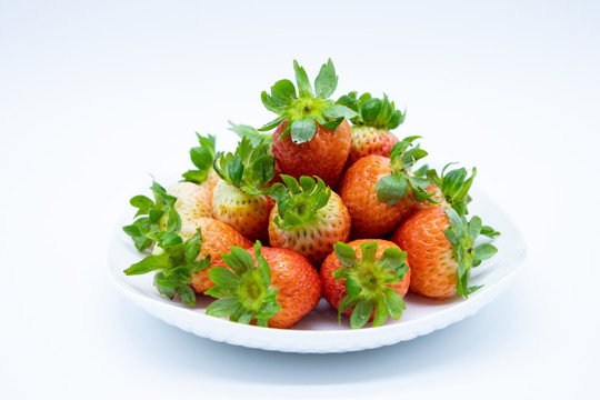 双流冬草莓