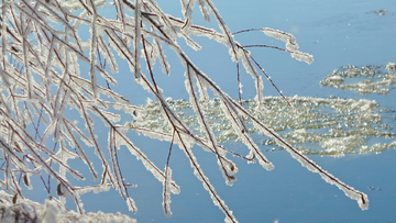 美丽的雪挂