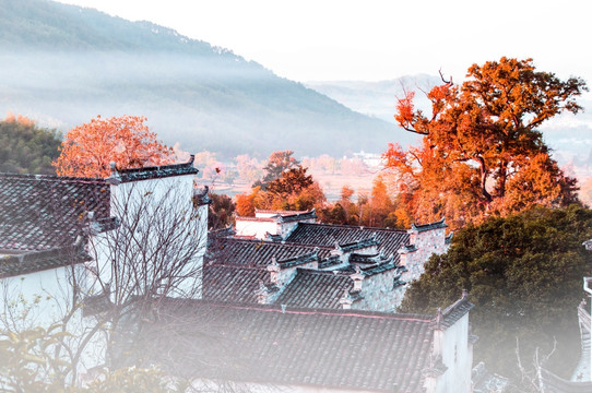 塔川风景