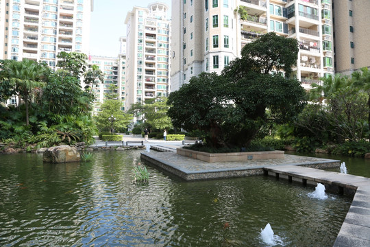 小区人造湖景