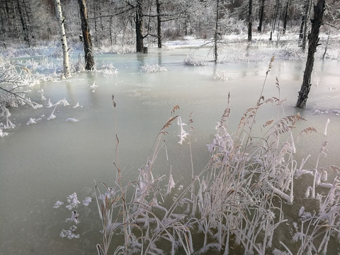 冬季冰雪森林