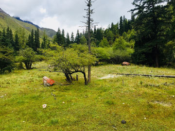 高山牧场