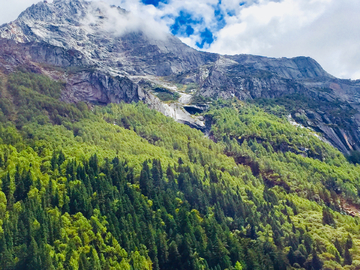 群山森林