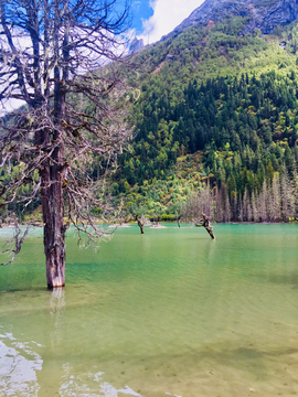 高山湖泊