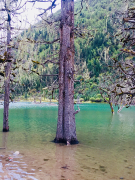 高山湖泊