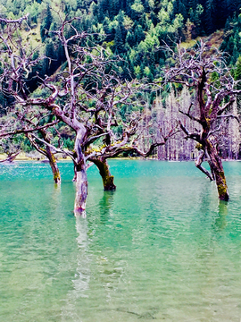 高山湖泊