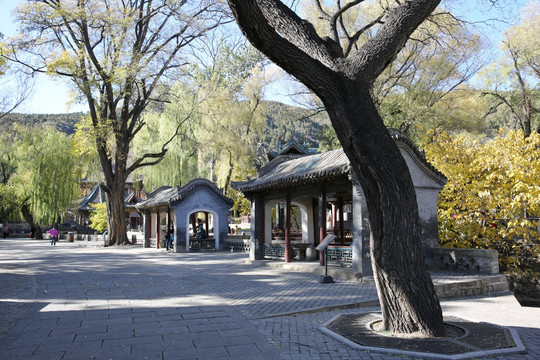 晋祠