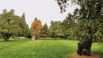 北京地壇公園