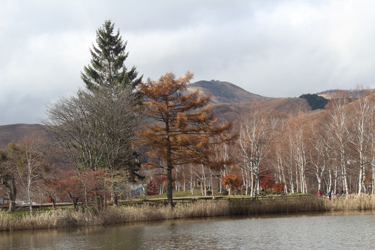 日本白桦湖公园
