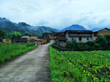 山村小路