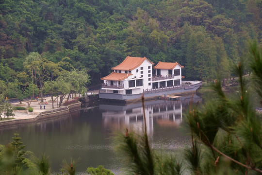 仙湖植物园