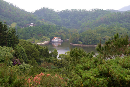 仙湖植物园