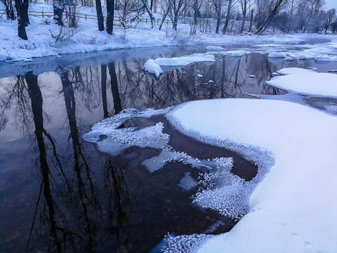 冰雪河流树的倒影