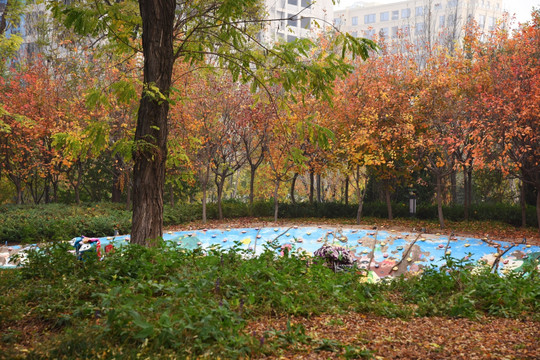 公園小景