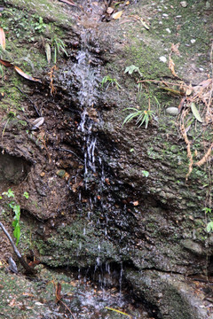 山上控水