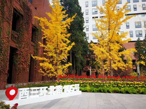 首都师范大学校园美景