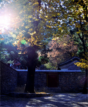 红叶之香山