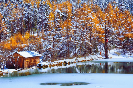 毕棚沟雪景