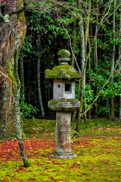 日本京都风光