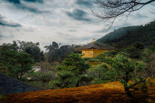 日本金阁寺