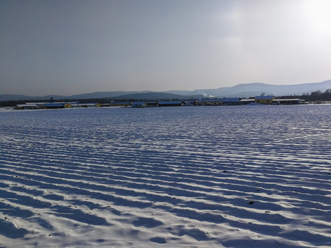 冬季下雪的农田