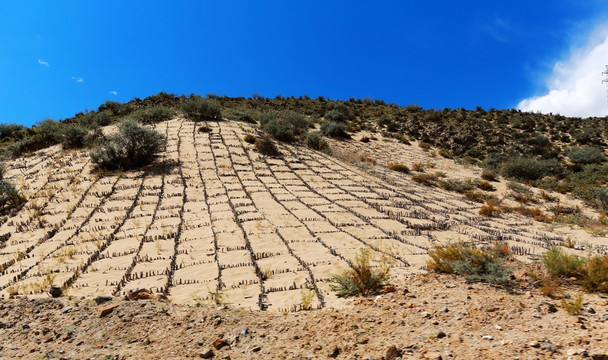 土壤沙化防治防风固沙工程