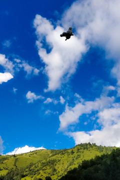 天空中飞翔的玩偶羊