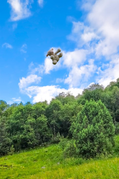 天空中飞翔的玩偶羊