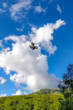 天空中飞翔的玩偶羊