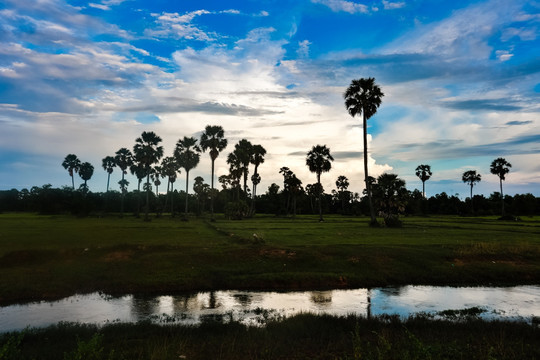 柬埔寨田园风光