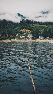 温哥华海景