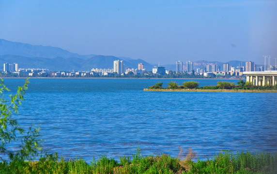 滇池湿地