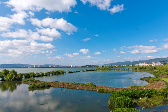 滇池湿地