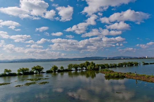 滇池湿地