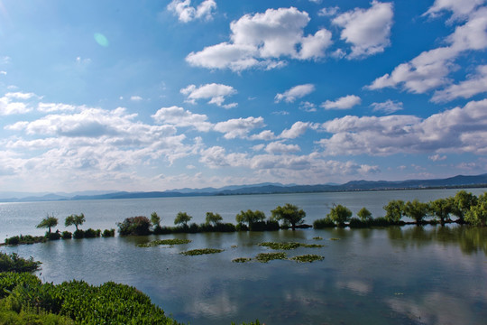 滇池湿地