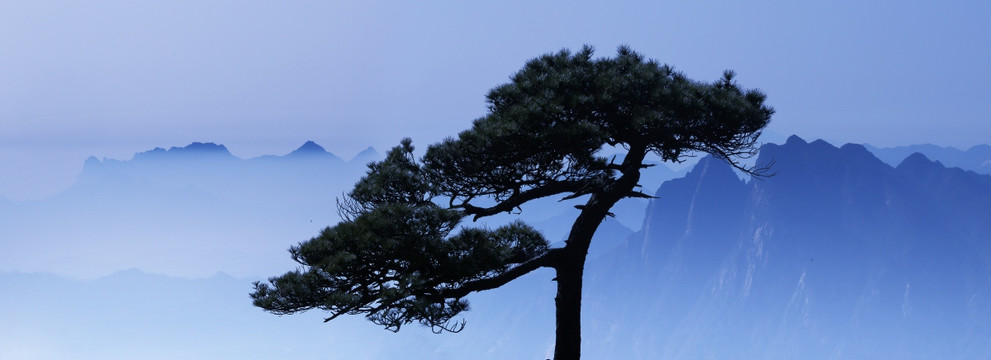 松树山石云雾