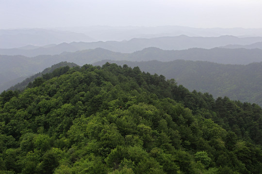 黄陵国家森林公园飞龙岭