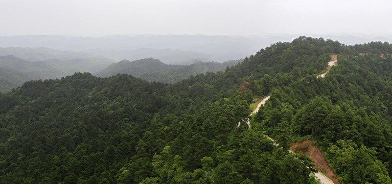 黄陵国家森林公园飞龙岭