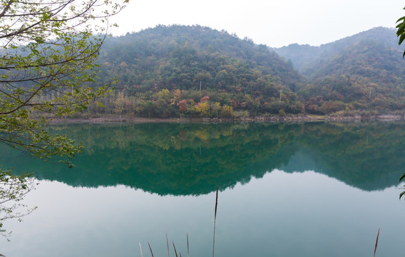 青山绿水