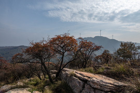 远山秋色