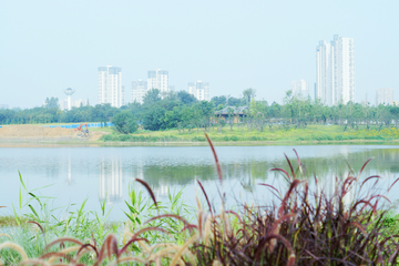 成都青龙湖湿地公园