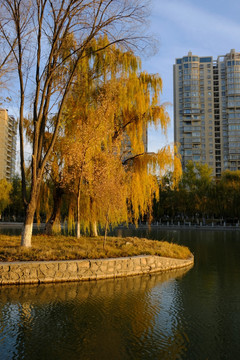 多浪河景观带