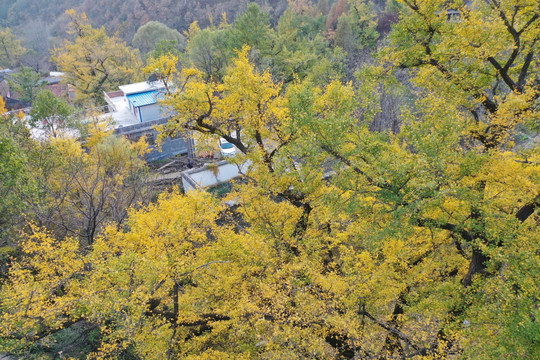 山村秋色