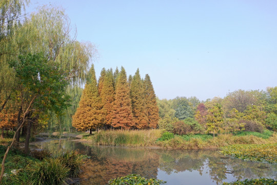 隋唐遗址植物园