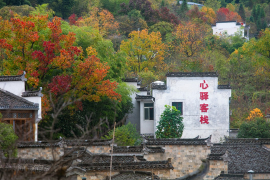 黟县塔川