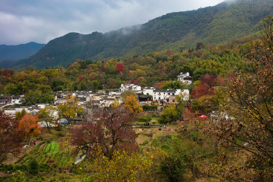 黟县塔川