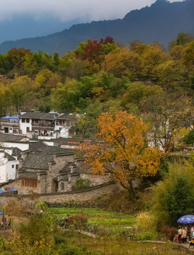 黟县塔川