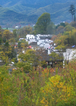 黟县塔川