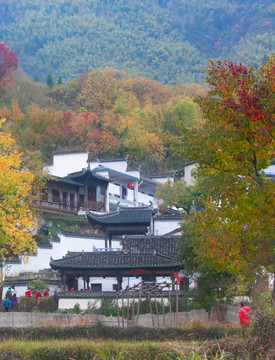 黟县塔川